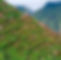 shutterstock_167974523.jpg