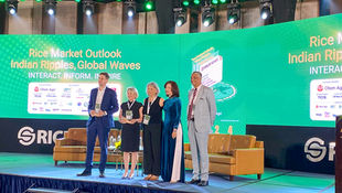 Shaping the Future of Rice: Sustainable Innovation and Cross-Sectoral Collaboration in Vietnam