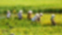 Stock images.jpg