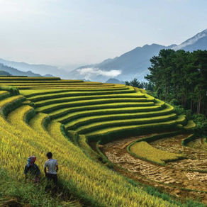 Unlocking Capital Flows to Transform Global Food Systems in Southeast Asia