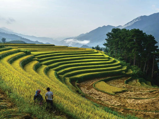 Unlocking Capital Flows to Transform Global Food Systems in Southeast Asia