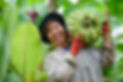 Philippines_Cover_2021.jpg