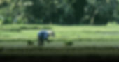 Web banner (5).jpg