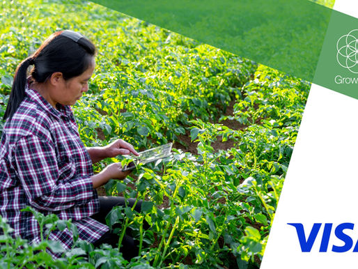 Grow Asia Welcomes Visa as Business Council Co-Chair