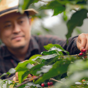 Philanthropy: The 4th P in public-private partnerships for financing food security & climate action