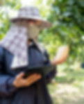 Mango_farmer.jpg