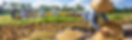 Rice_Farmers 2.jpg